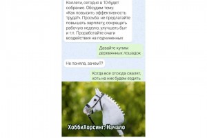 ХоббиХорсинг. Начало