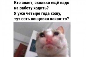 Кто знает, сколько еще ходить на работу?