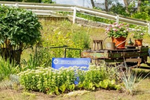 На ГАЗЕ подвели итоги V профсоюзного конкурса «Мой завод - цветущий сад!»