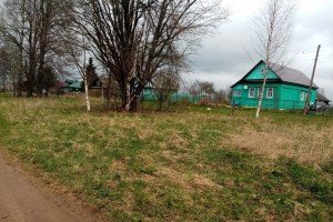 Многодетным семьям предлагают выделять бесплатно земельные участки