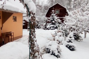 Жители СНТ требуют вернуть сельский тариф для оплаты электроэнергии