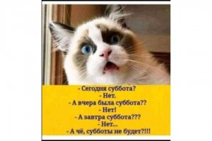 Где суббота?