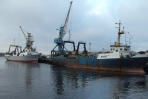 Попали в сети