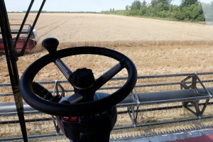 Кибердеревня на подходе