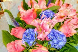 Названы регионы с самыми дорогими букетами к 8 Марта