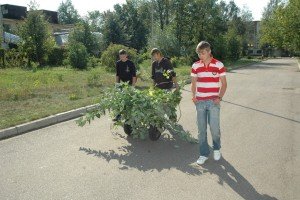 Президент подписал закон, разрешающий подросткам работать в каникулы