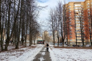 В Госдуме предложили решить жилищные проблемы семей с детьми через соцнайм