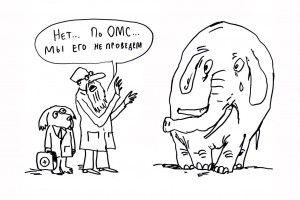 Семь шапок из шкуры ОМС