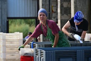 Совфед: при 32,5 градусах в работе обязательно делать перерывы
