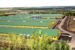 Алексеевская профорганизация АПК. На селе чужих не бывает