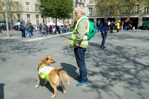 В сентябре Франции грозит всеобщая забастовка