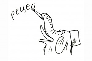 Кругом одни вопросы