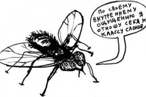 Между верхом и низом