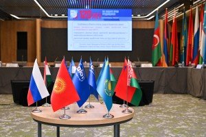 Улучшение положения женщин на рынке труда назвали приоритетным для профсоюзов СНГ