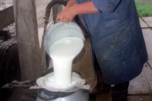 Украинское молоко “убежало”