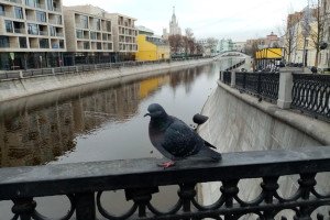 Названы российские города с самой высокой покупательной способностью зарплат