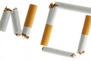 Отечество без дыма