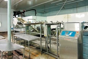 Мурманский рыбокомбинат “вырежут по цехам”