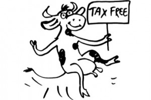 Племенной скот освободят от НДС