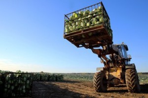 Урожай цифр сельской России