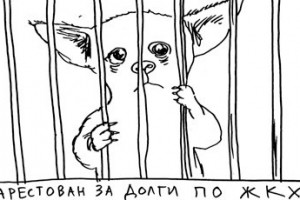 Арест тяпки