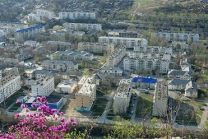 Приостановка по требованию