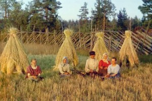 Два дома и три дохода