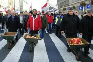 Назло Путину уничтожаем яблоки