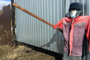 Свалка века