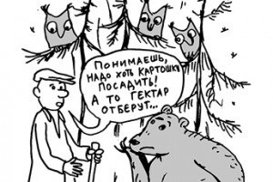 Декрет о земле снова принят