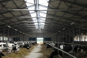 “Вельская” пишет Путину