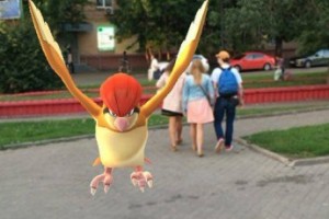 Профсоюз полиции встал на защиту «ловца покемонов»