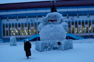 Правительство не одобрило закон о “северных” льготах