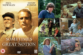 Иногда великая идея…