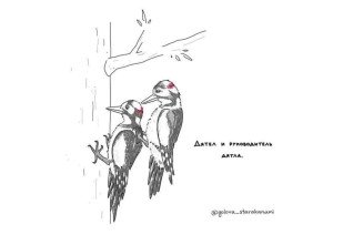 Подчиненный и руководитель