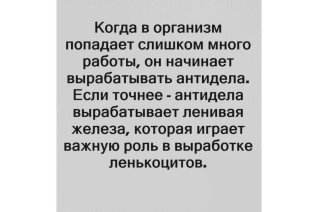Антидела