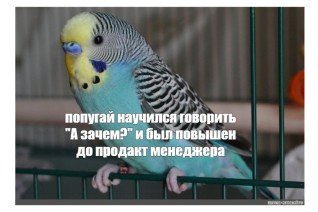 Карьерный рост