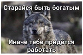 Ценный совет