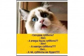 Где суббота?