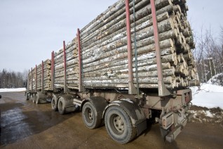 Карельский поселок оказался под угрозой существования из-за невыплаты зарплаты работникам леспромхоза