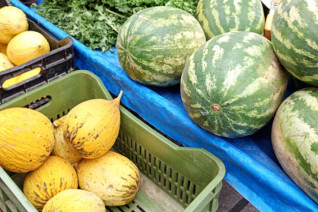 Цены на арбузы и дыни выросли за год на 31 и 26%