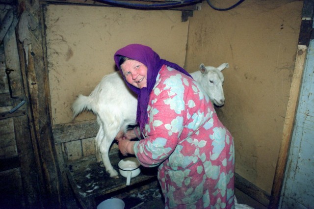 Профсоюзные эксперты объяснили, смогут ли россияне докупать трудовой стаж