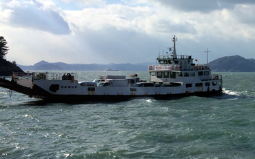 50 дней в Южной Корее