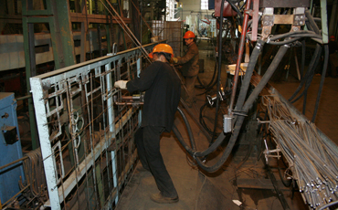 Свидетели Севера