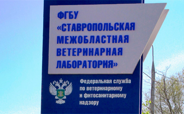 Бессрочный карантин