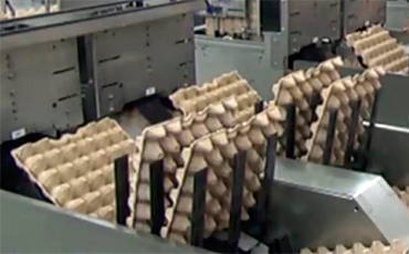 Подложное мытье рук