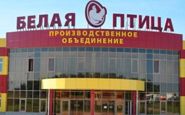 Уперлись в директорский корпус