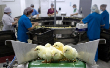 Справку дали не оттуда