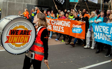 За зарплату и партию