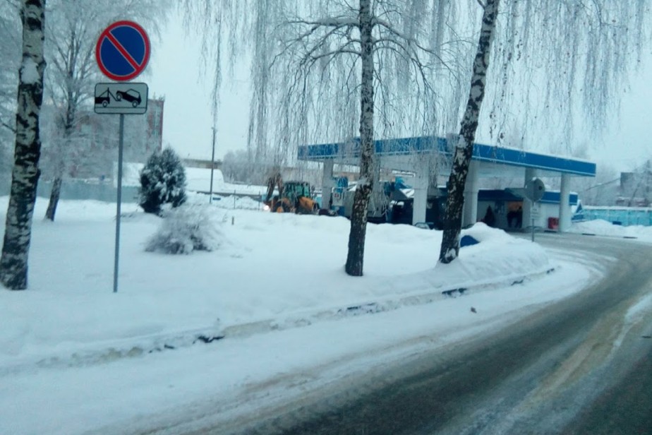 Медведев отслеживает ситуацию с ценами на бензин